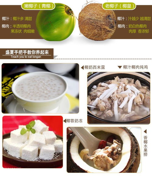 海南老椰子批發 品質之選，新鮮直達